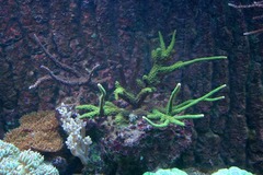 Killikus&reg; Fotographie